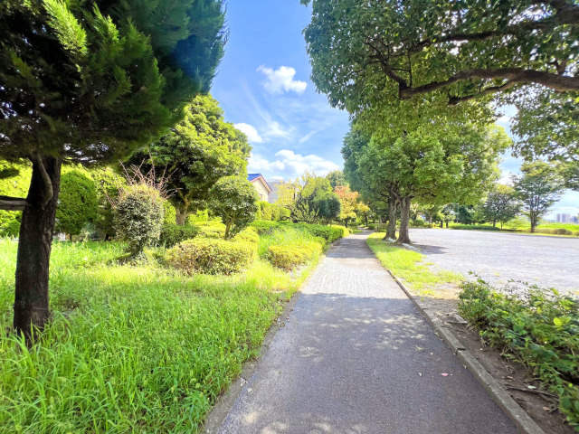 公園に隣接しており緑豊かな風通しの良い立地