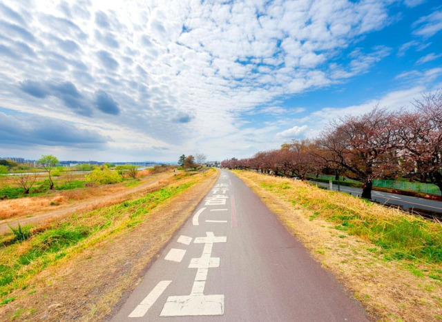 都心へのアクセス力と、穏やかな住環境、そして自然の潤いが魅力な「元和泉2丁目」
教育・商業施設が徒歩10分圏内に点在し、共働きの子育て世帯にも安心して暮らせる住環境。