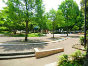 東小松川南公園