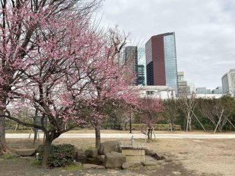三田台公園