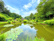 吹上しょうぶ公園