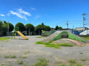 中央公園