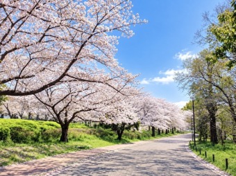 青葉の森公園
