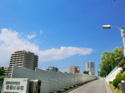 文京区立青柳小学校