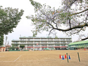 杉並区立馬橋小学校