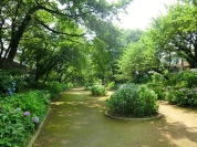 玉川上水第三公園