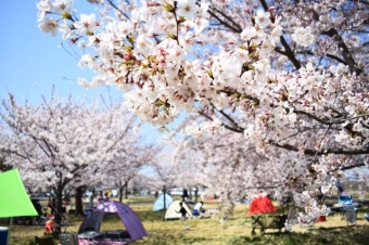 稲城北緑地公園