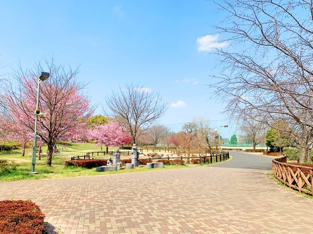 武蔵野の森公園