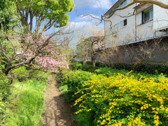 次大夫堀公園