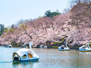 井の頭恩賜公園