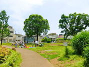 吉祥寺西公園