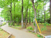 南台樹林公園