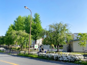 練馬総合運動場公園 いちょう広場