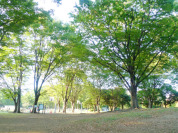 東京都立赤塚公園