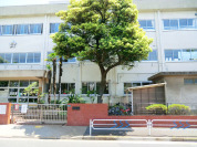 江戸川区立大杉東小学校