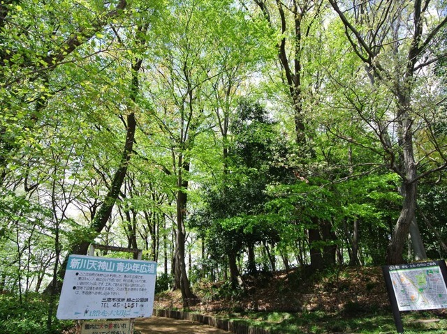 新川天神山青少年広場