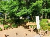 大沢雑木林公園