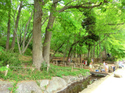 黒川清流公園