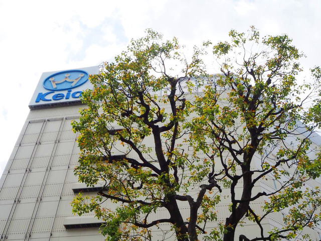 京王百貨店 聖蹟桜ヶ丘店