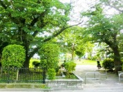 和泉多摩川児童公園