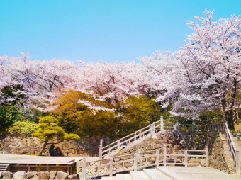 飛鳥山公園