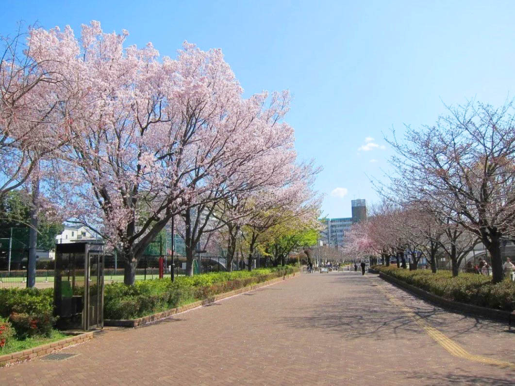 西東京市西原町1丁目 建築条件付き売地 全2区画 メインイメージ4